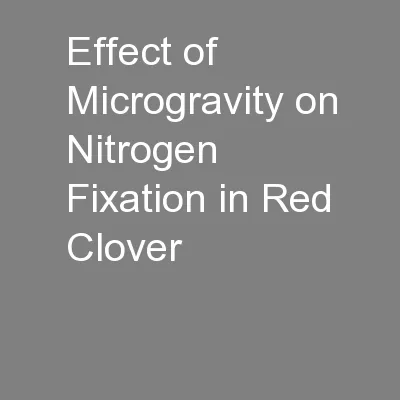 Effect of Microgravity on Nitrogen Fixation in Red Clover