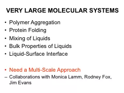 VERY LARGE MOLECULAR SYSTEMS