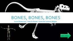 Bones, bones, bones