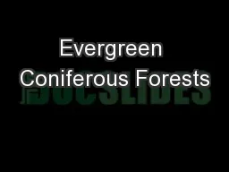 Evergreen Coniferous Forests