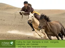 Putting the Open Standards to Work:  Mongolia, Patagonia, a