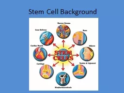 Stem Cell Background