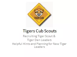 Tigers Cub Scouts
