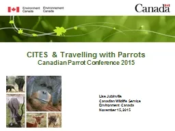 CITES & Travelling with Parrots