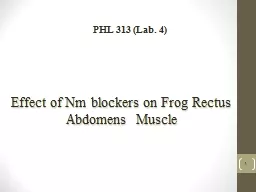 1 Effect of Nm blockers on Frog Rectus Abdomens  Muscle