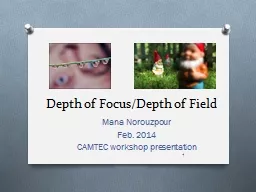 Depth of Focus/Depth of Field
