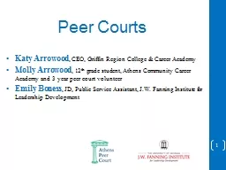 Peer Courts