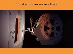 Could a human survive this?
