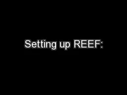 Setting up REEF: