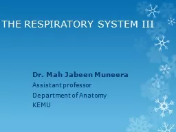 THE RESPIRATORY SYSTEM III