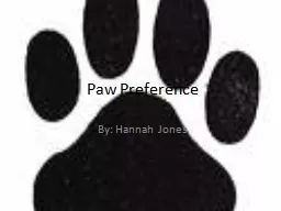 Paw Preference