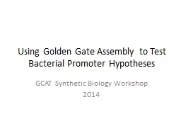 Using Golden Gate Assembly to Test Bacterial Promoter Hypot