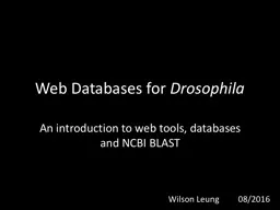 Web Databases for