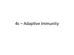 4c – Adaptive Immunity