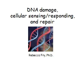 DNA damage,