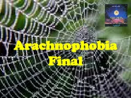 Arachnophobia Final