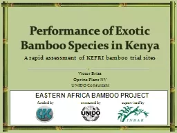A rapid assessment of KEFRI bamboo trial sites