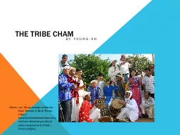 The Tribe Cham