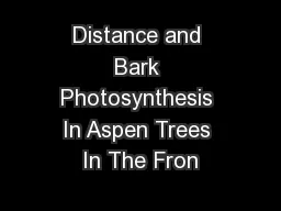 Distance and Bark Photosynthesis In Aspen Trees In The Fron