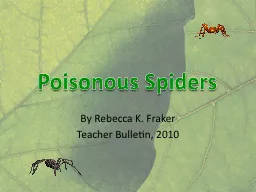 Poisonous Spiders