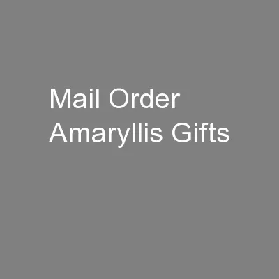 Mail Order Amaryllis Gifts