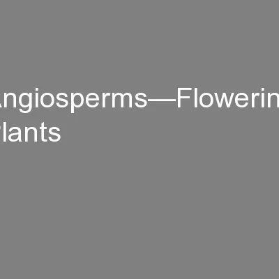Angiosperms—Flowering Plants