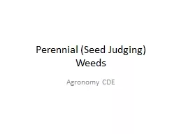Perennial (Seed Judging)