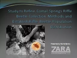Study to Refine Comal Springs Riffle Beetle Collection Meth