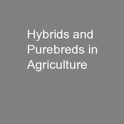 Hybrids and Purebreds in Agriculture