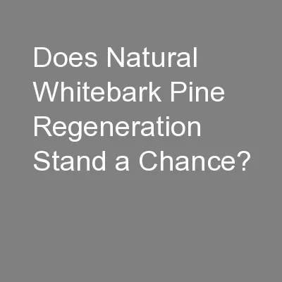 Does Natural Whitebark Pine Regeneration Stand a Chance?