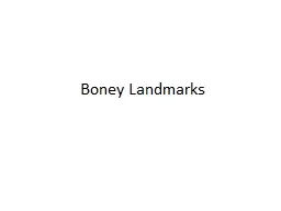 Boney Landmarks