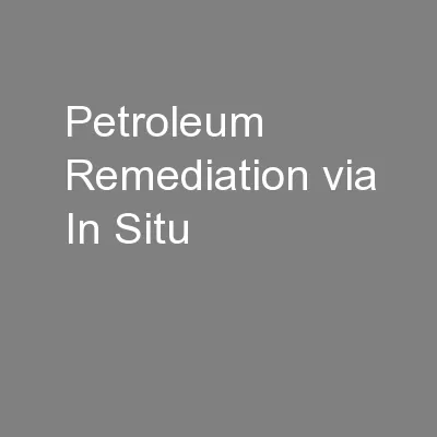 Petroleum Remediation via In Situ
