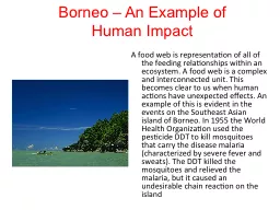 Borneo – An Example of