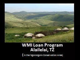 WMI Loan Program