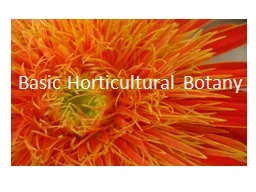 Basic Horticultural Botany