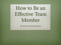 How to Be an Effective Team Member