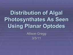 Distribution of Algal Photosynthates As Seen Using Planar O