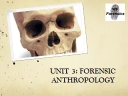 UNIT 3: FORENSIC ANTHROPOLOGY