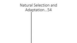Natural Selection and Adaptation…54
