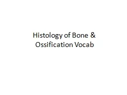 Histology of Bone &
