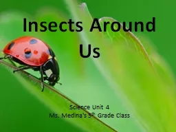 Insects Around Us
