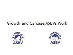 Growth and Carcase ASBVs Work