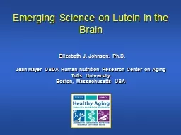 Emerging Science on Lutein in the Brain