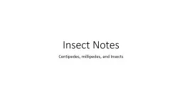 Insect Notes