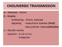 CHOLINERGIC TRANSMISSION