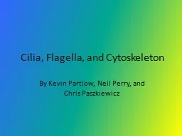Cilia, Flagella, and Cytoskeleton