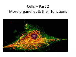 Cells –