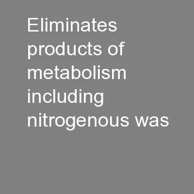 Eliminates products of metabolism including nitrogenous was