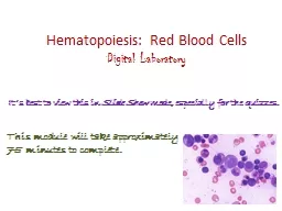 Hematopoiesis: Red Blood Cells