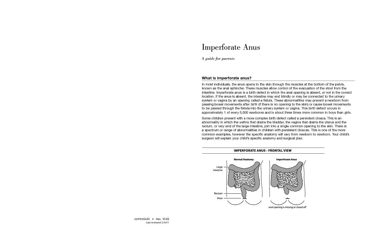 In most individuals, the anus opens to the skin through the muscles at
